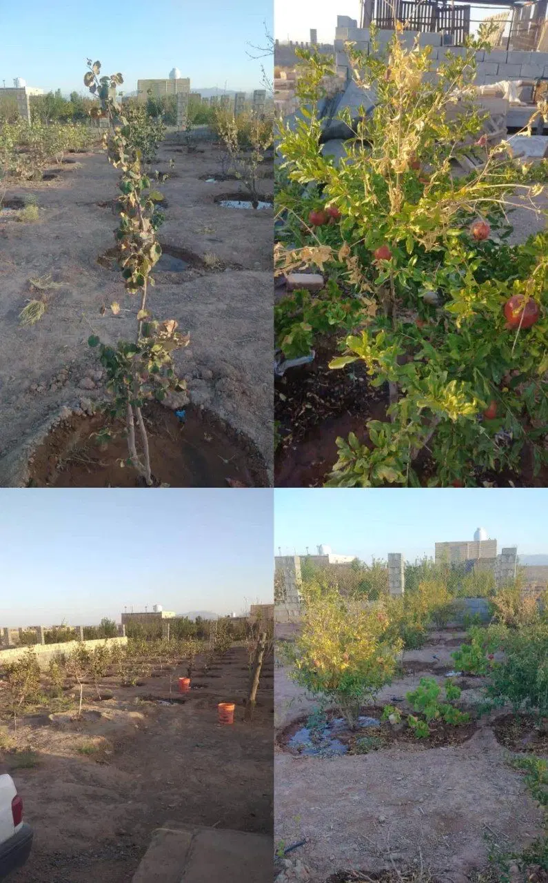 فروش باغ اقتصادی