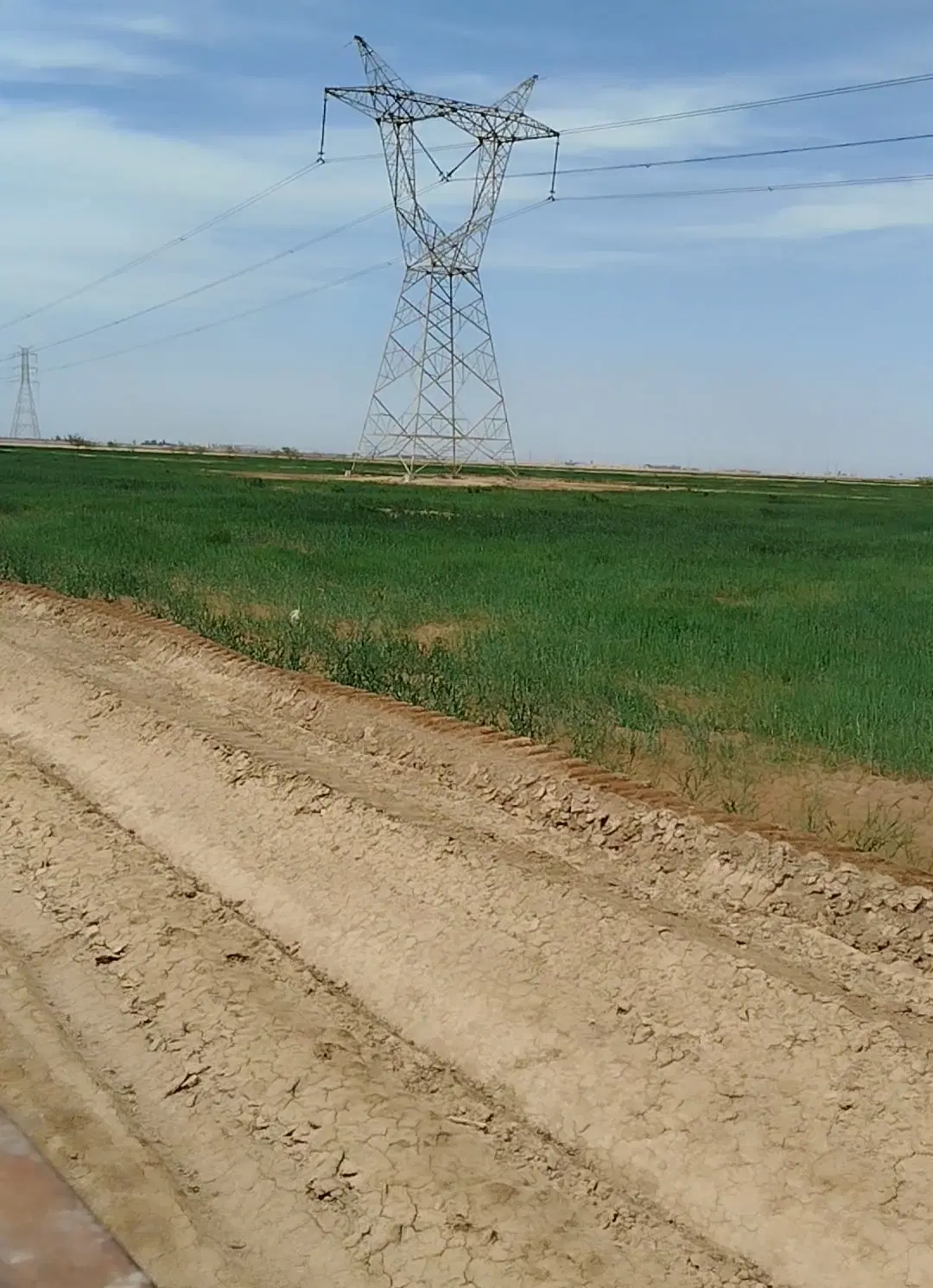 زمین کشاورزی اجاره،رهن، شراکتی