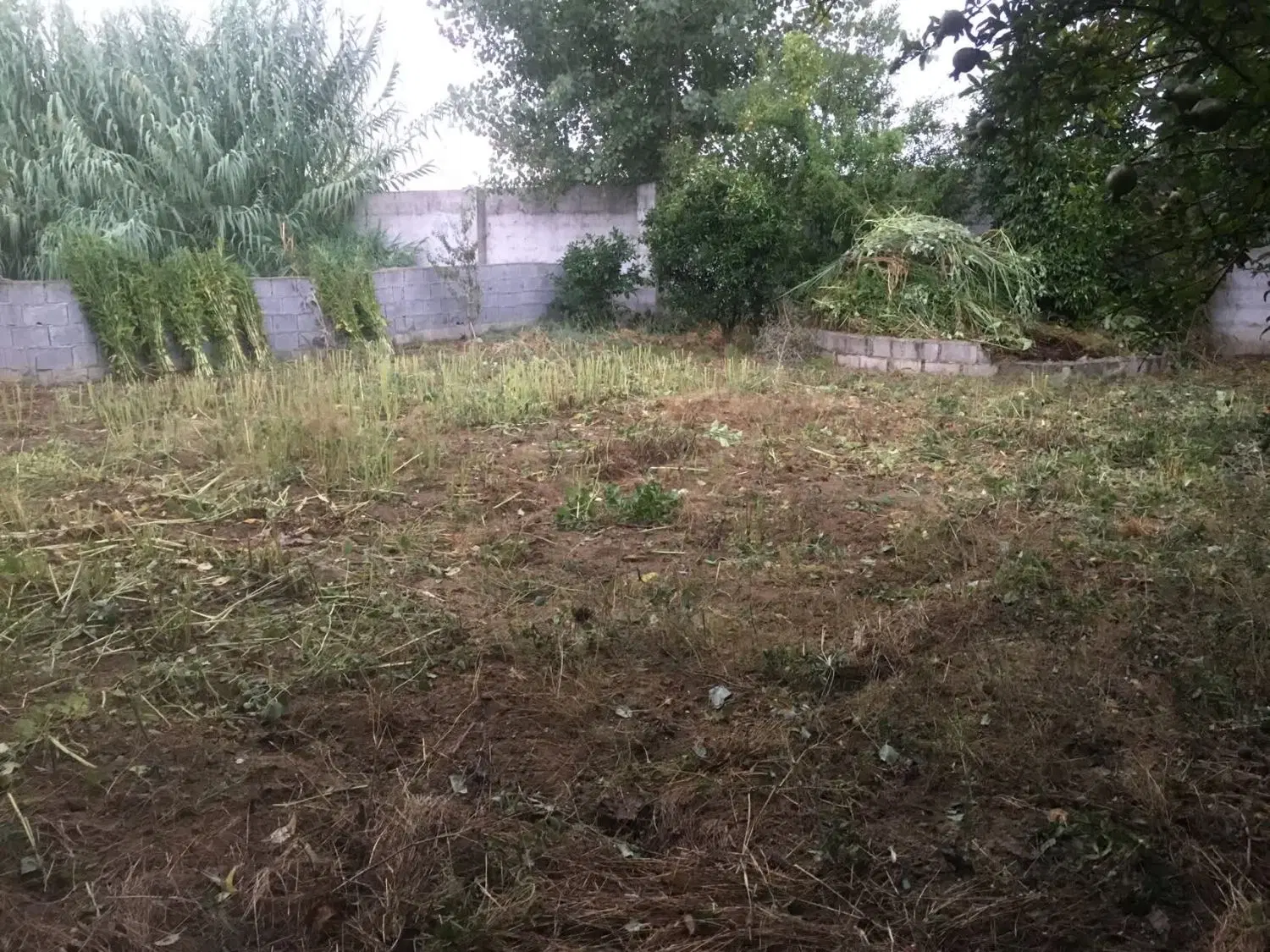 زمین مسکونی