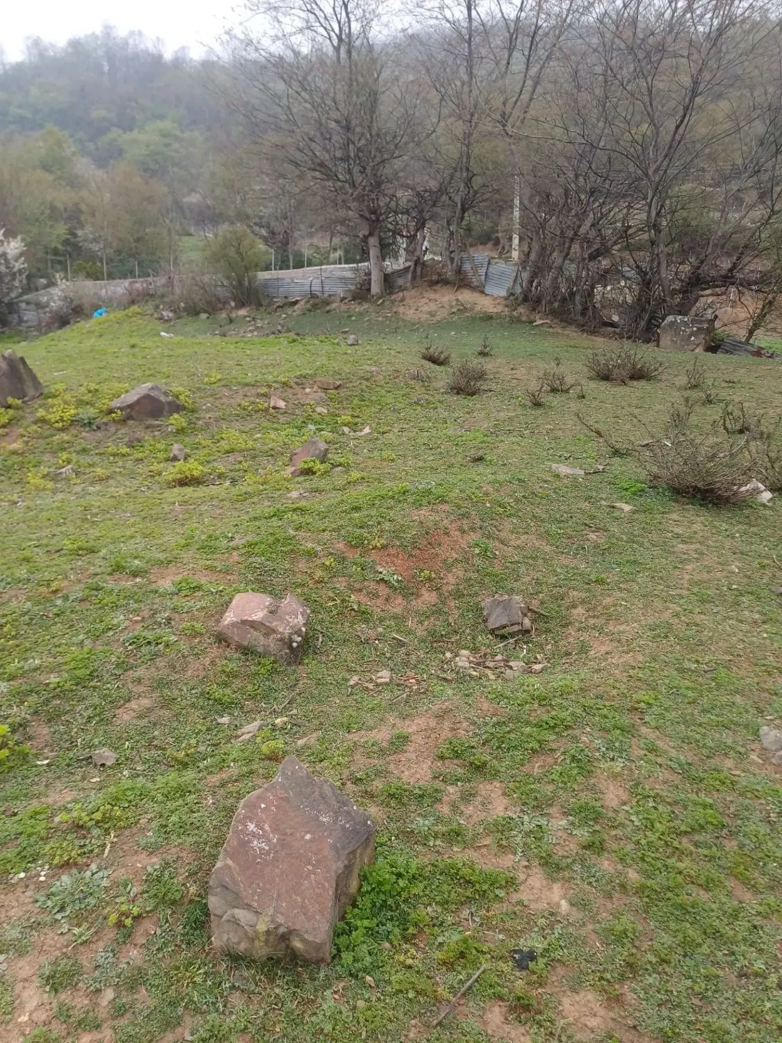 زمین اماده برای ساخت واقع در روستای طالع سوادکوه