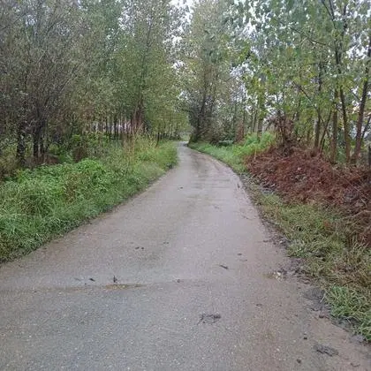 زمین دربهترین ومرکز روستای نغندر