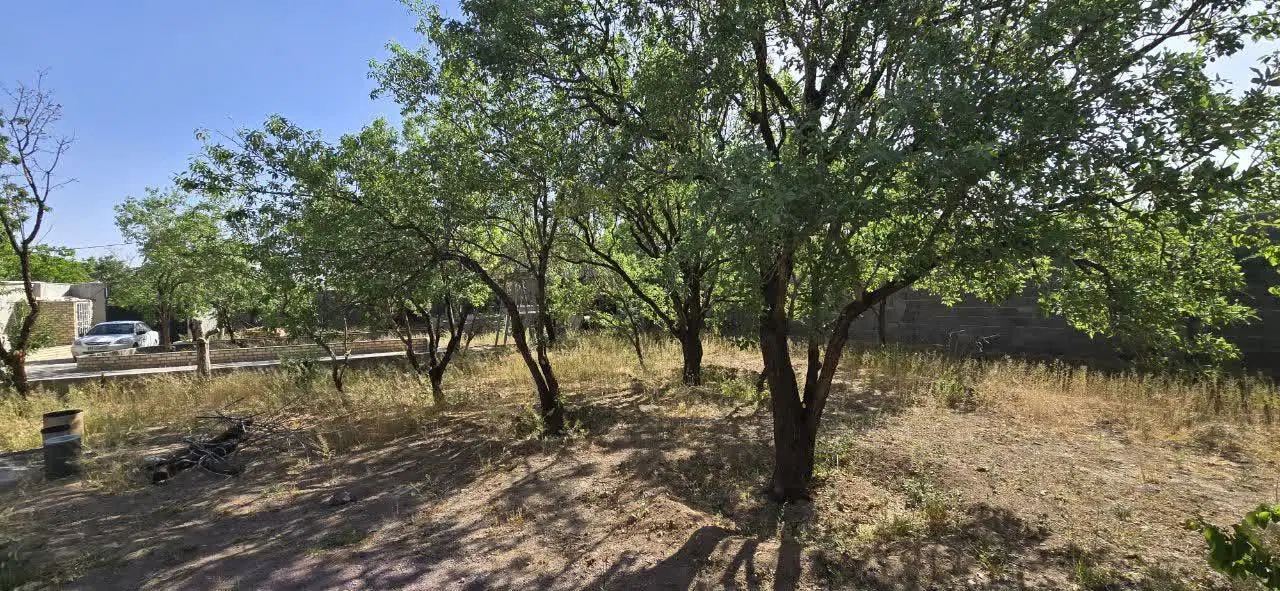 باغ در سا‌وه روستای ورده