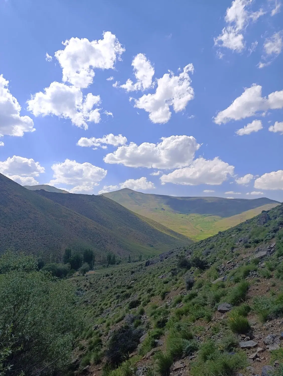 فروش یک حلقه چاه برقی بارانی  در روستای صندوق آباد