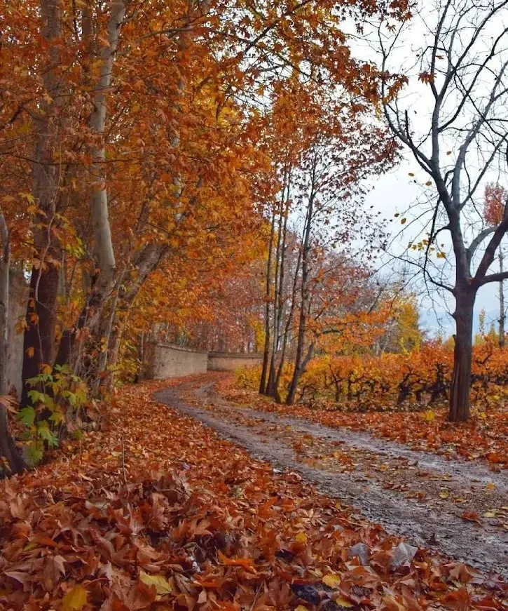 فروش خانه ویلایی دوطبقه مهندسی ساز