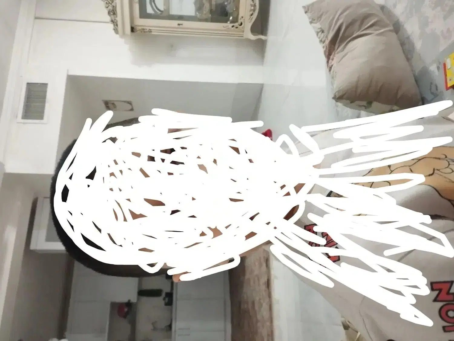 اجاره اپارتمان