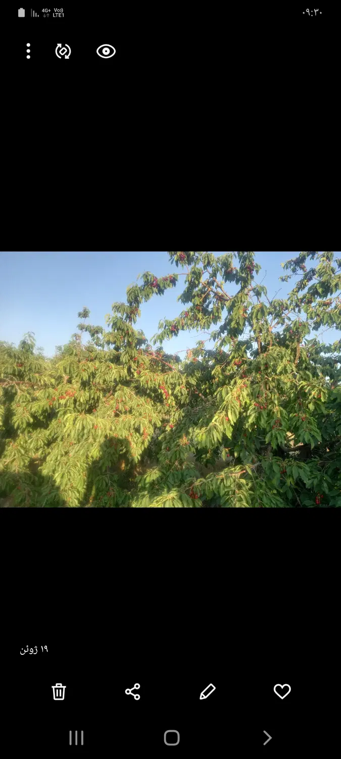 باغ موتوراب گوشه ۵۰۰ متر