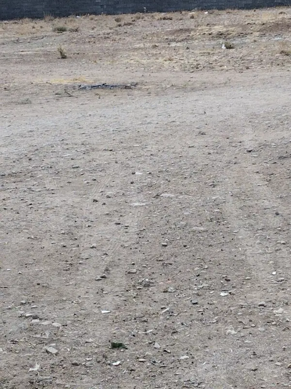 زمین باغشهری سه چاه کلستان قلات
