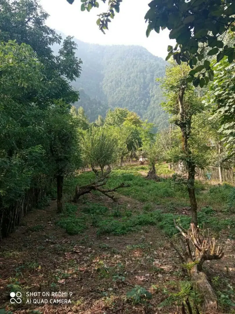 زمین مسکونی سیاهمزگی