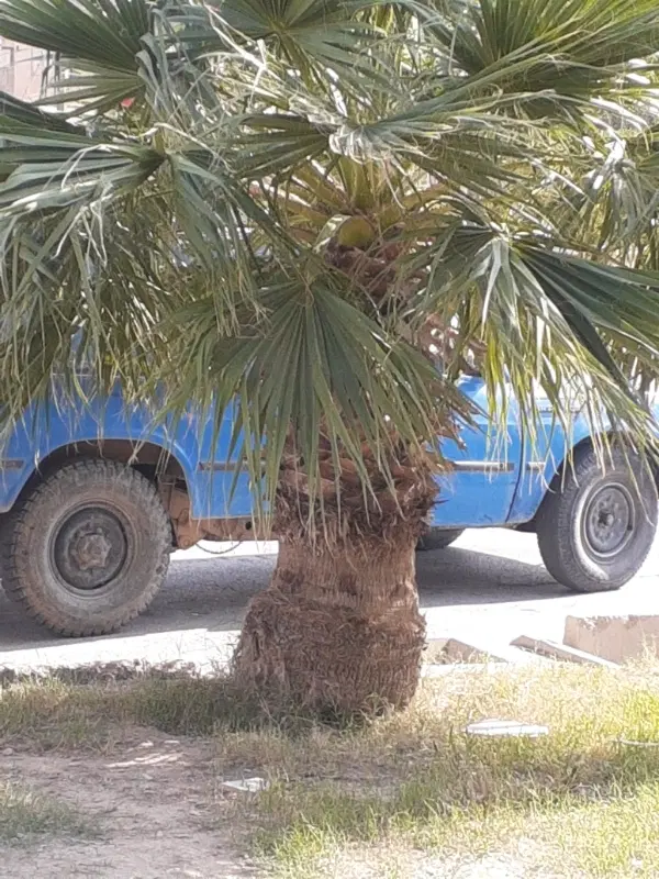 هم خونه میخام