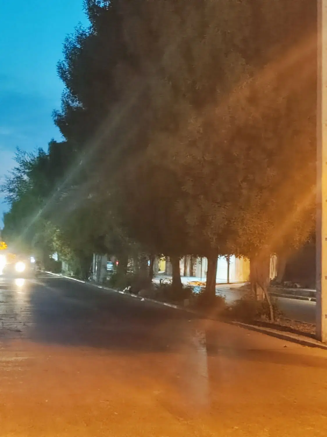 فروش ملک  بهترین موقعیت برای سرمایه گذاری
