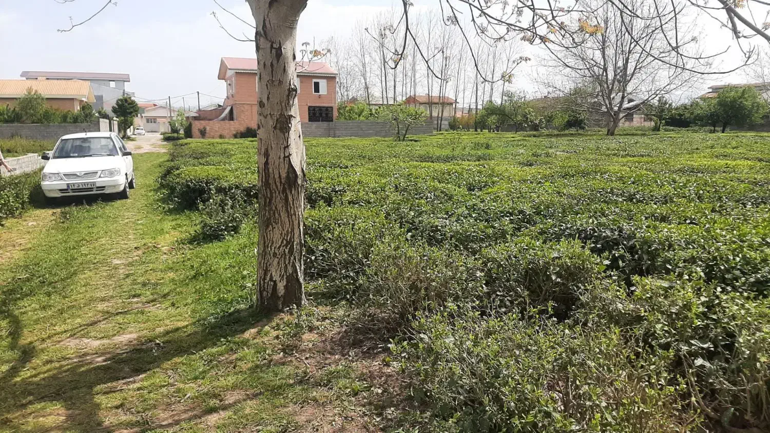 903متر زمین در بازکیاگوراب