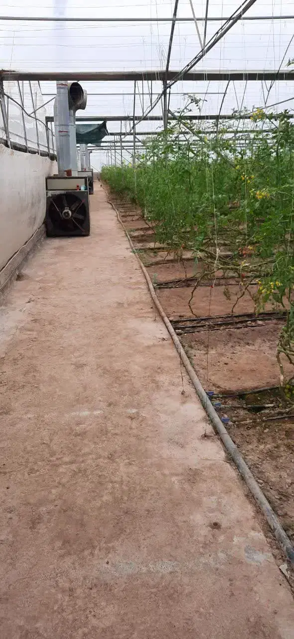 گلخانه و زمین کشاورزی در بیرجند