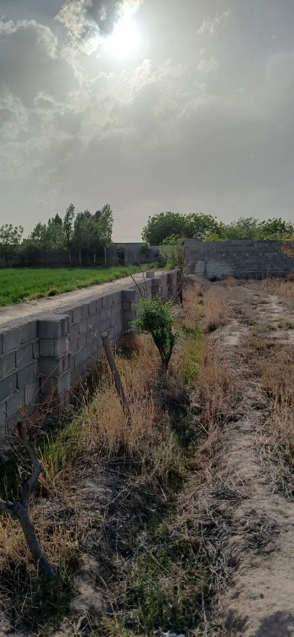 زمین ۵۰۰ متری