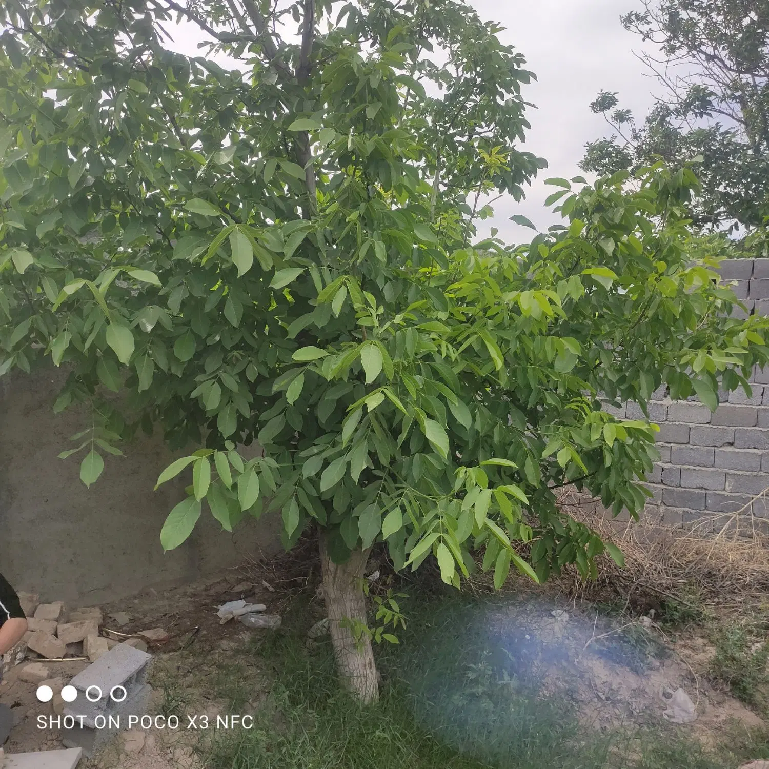 چهاردیواری با دیوار کاگلی برخیابان ۳۰متری مخابرات
