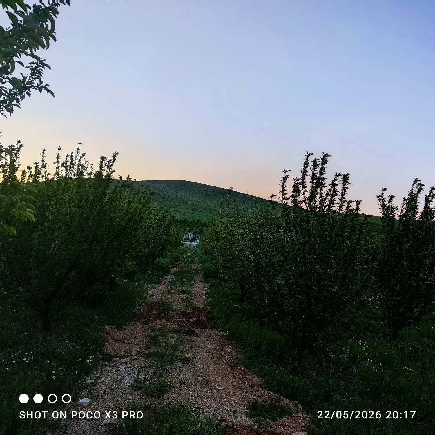 خانه باغ
