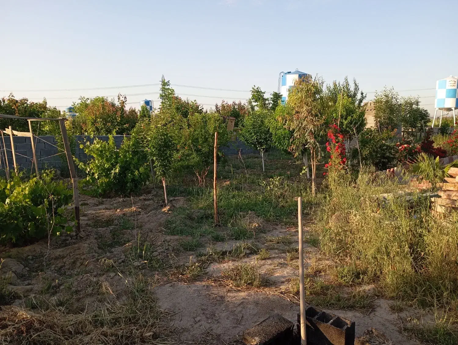 باغچه ۵۴۰متری،فرودگاه ترمینال سلام