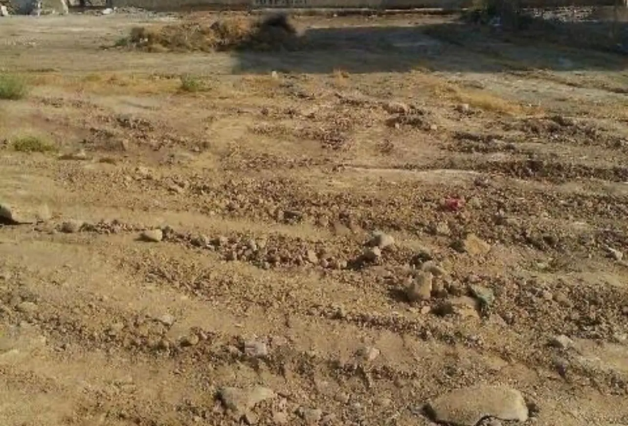 زمین دو کله