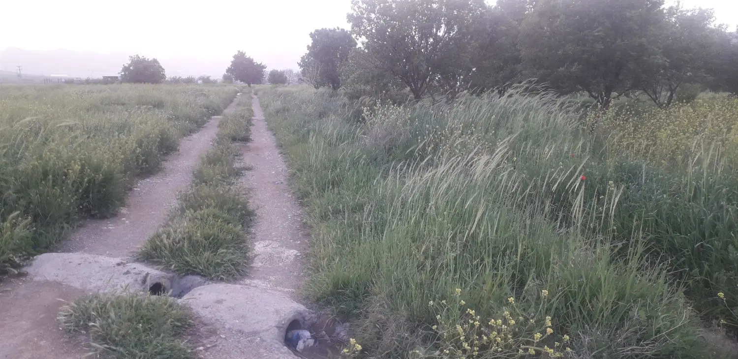 باغ بادام کمالوند