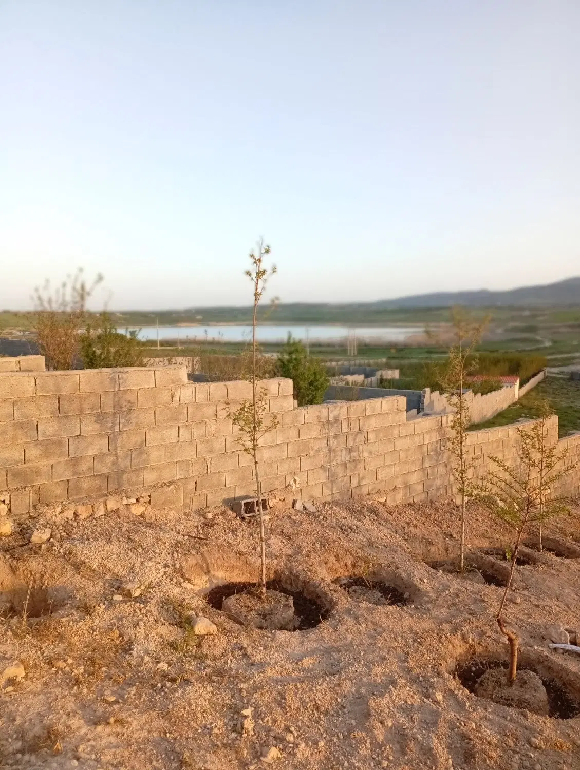 رهن و اجاره دامداری میدان دام شیراز