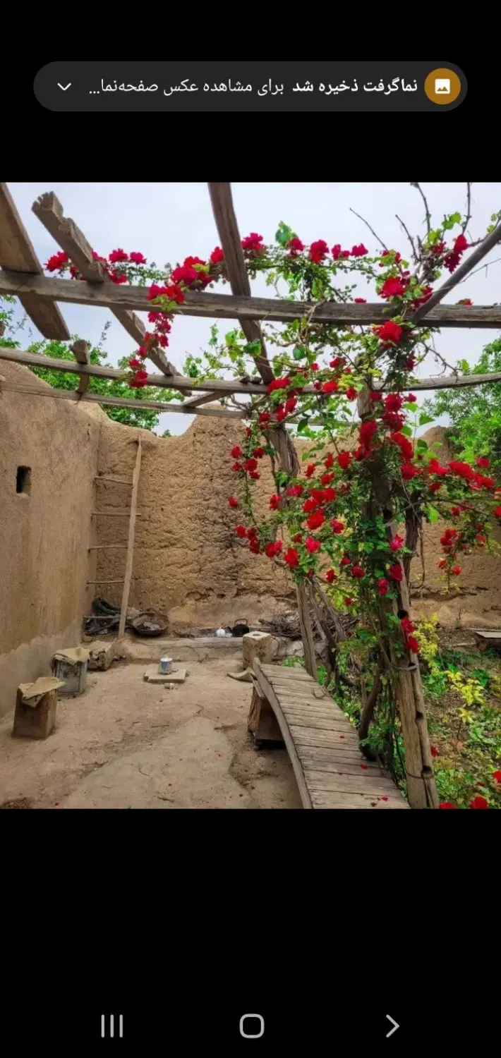 فروش باغ ابرندان کلاته رودبار