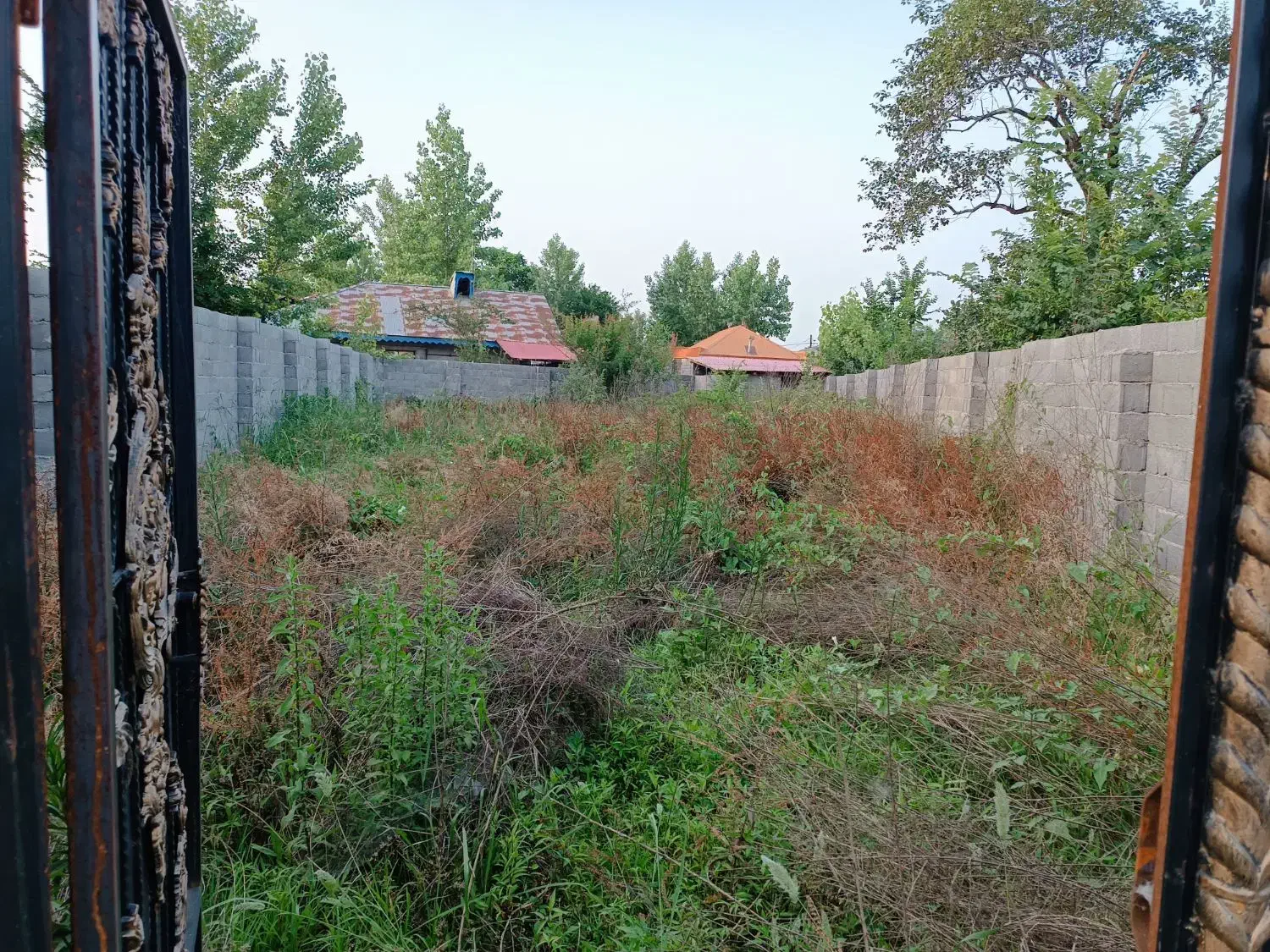 زمین باغی با سند تک برگ