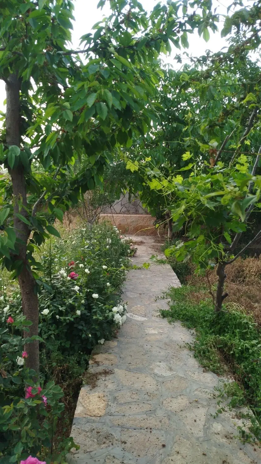 باغ وویلا