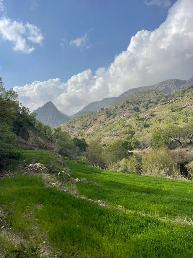 زمین باغ شهری