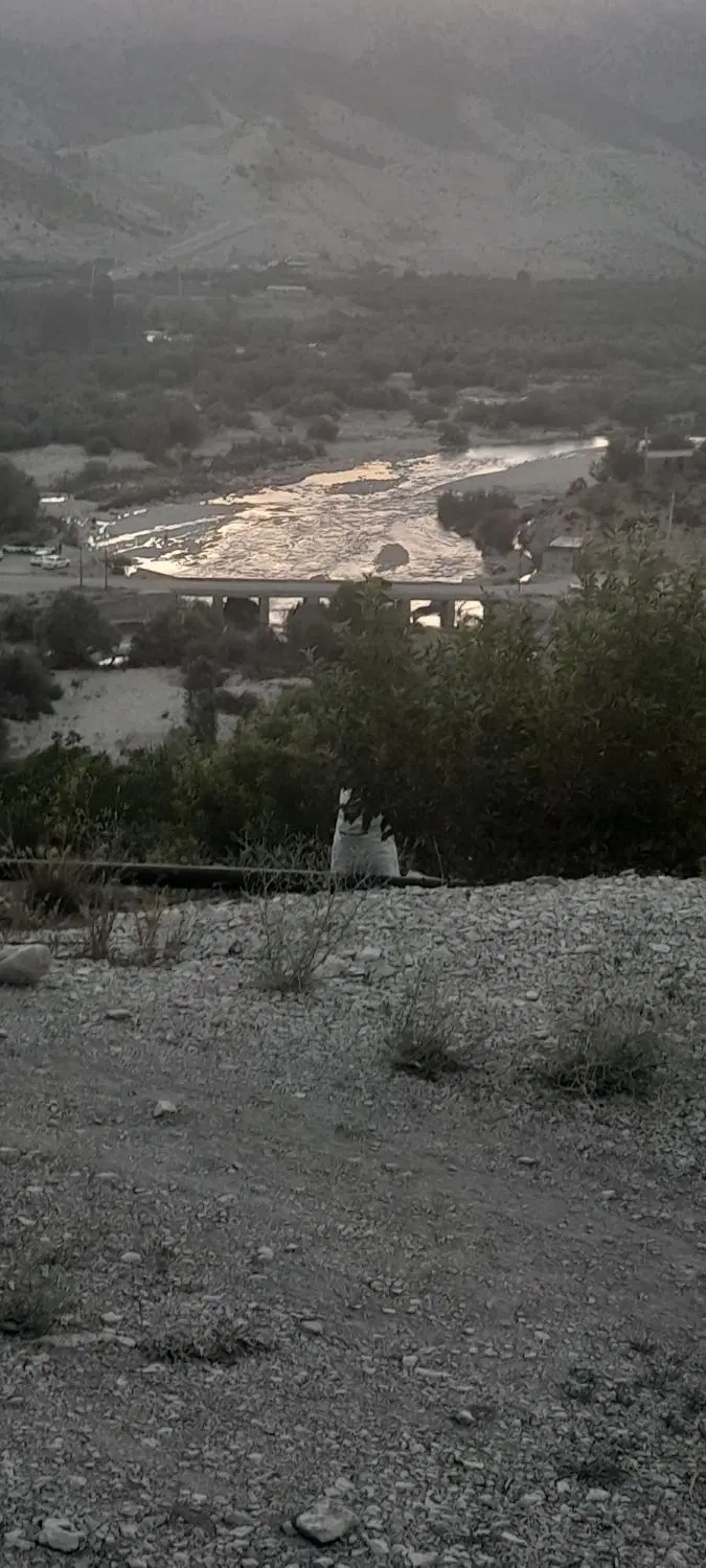 فروش باغ بادام در روستایی خوش آب وهوایی وزگ