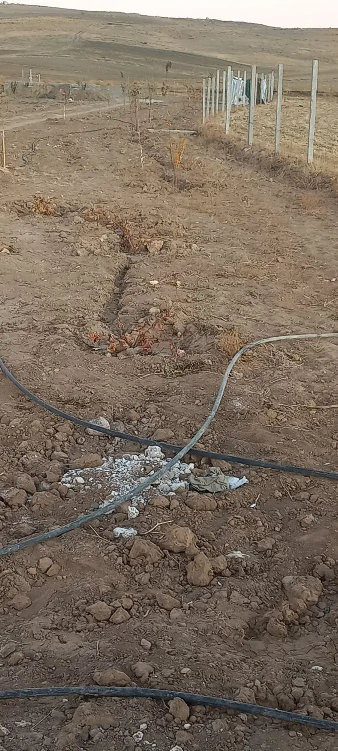 باغ زمین کشاورزی