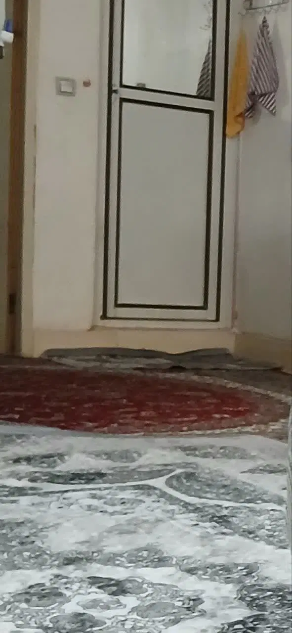 هم خانه خانم بدون حاشیه