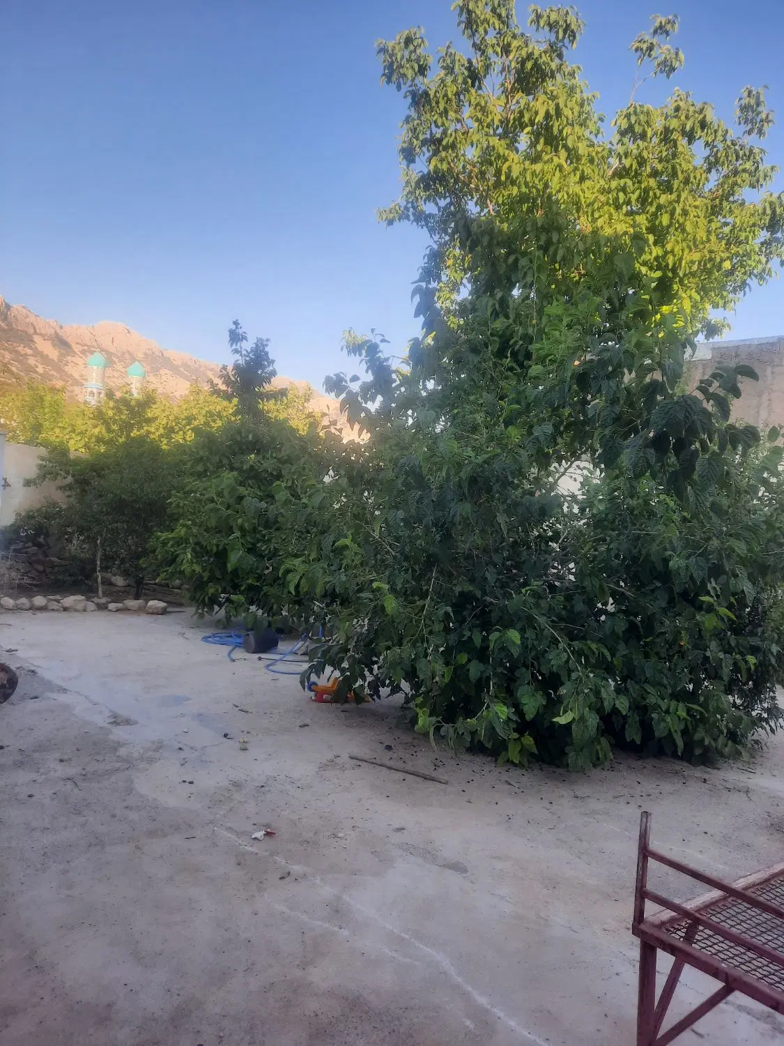 اجاره خانه ویلایی