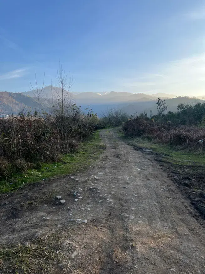 زمین باغی کشاورزی