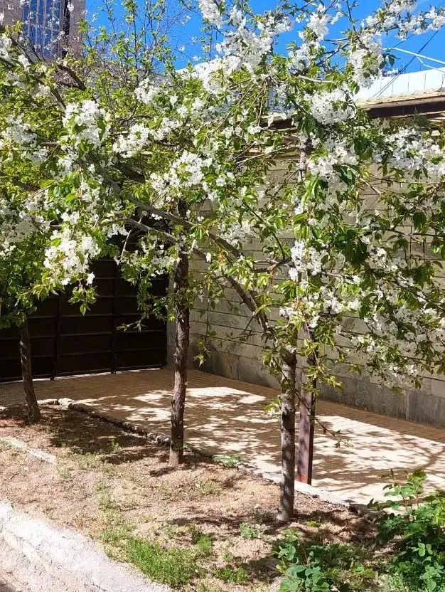اجاره خانه درالهیه فاز۲