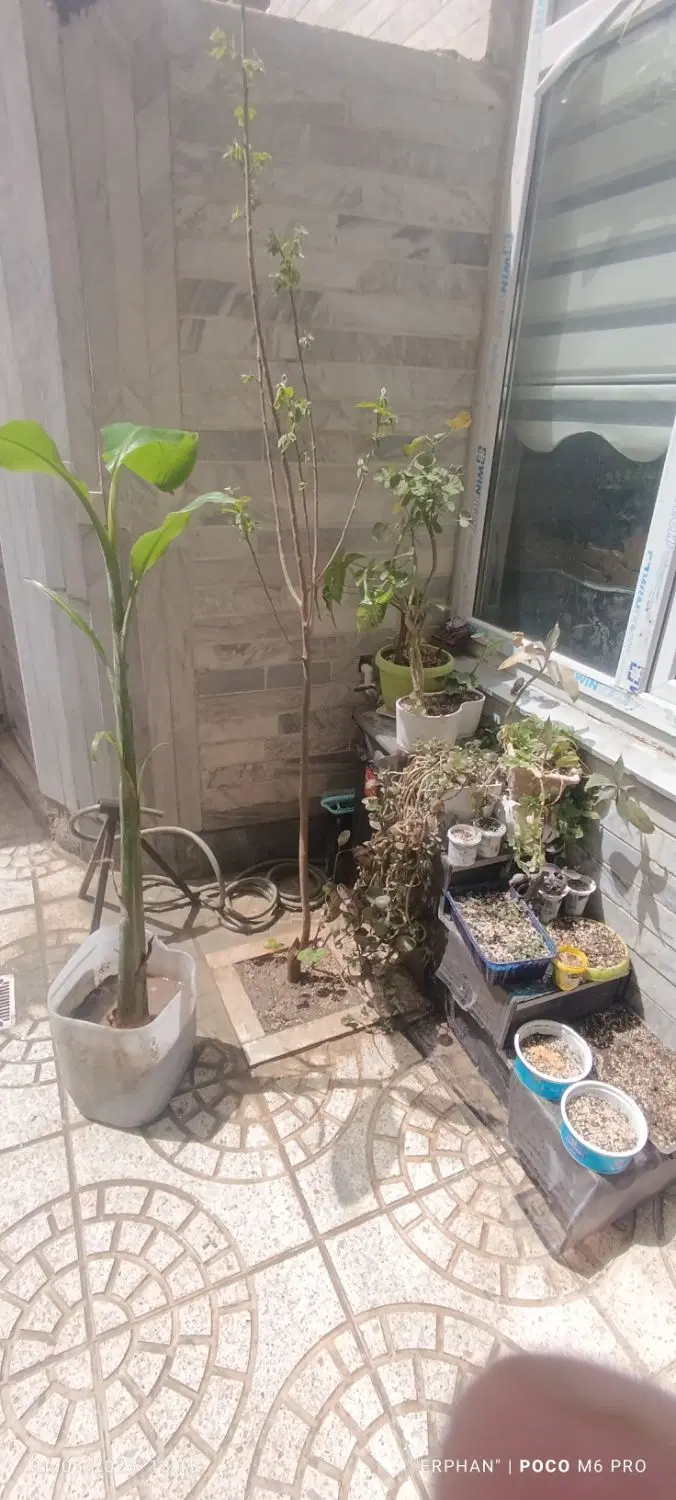 خانه دو طبقه در شاهگلی ( ائل گلی ایلگلی)