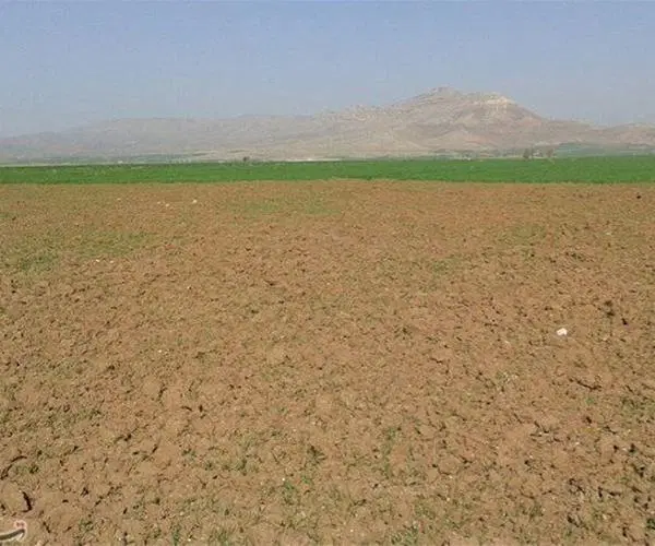 فروش زمین