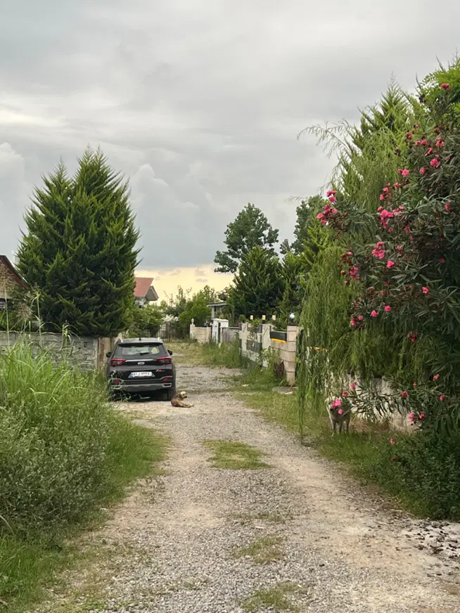 ویلا چمستان