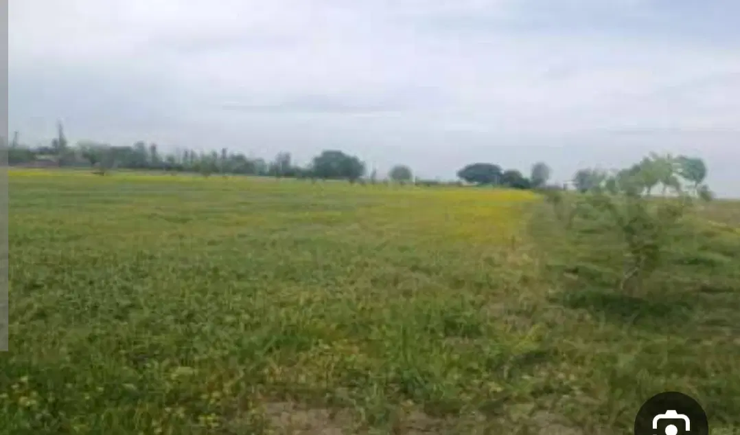 زمین باغی