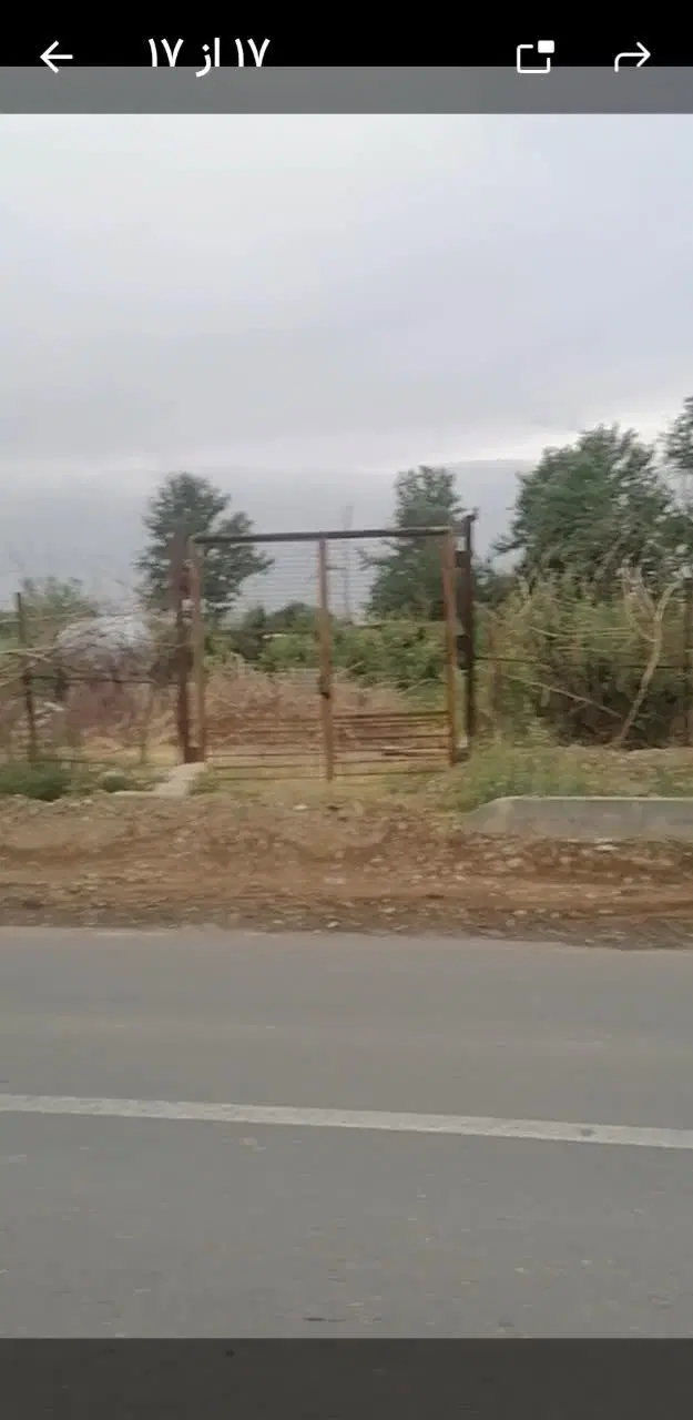 باغ بر خیابان اصلی زرنان