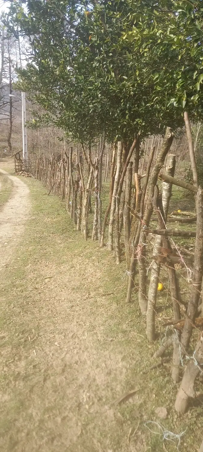 زمین