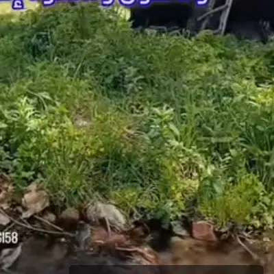 زمین کشاورزی منوجان