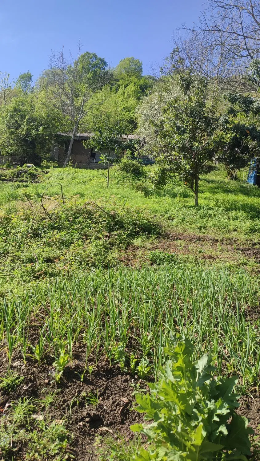 زمین (تکه ای از بهشت)