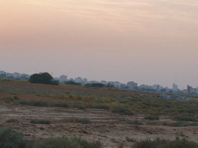 زمین باغ