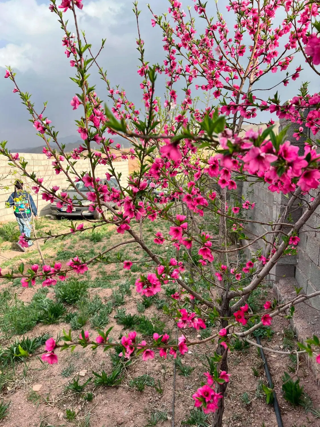 خانه باغ ۱۶۰۰متری لب رودخانه