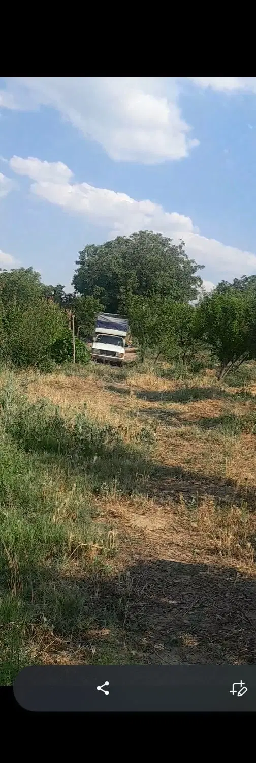 فروش زمین باغ دریکان