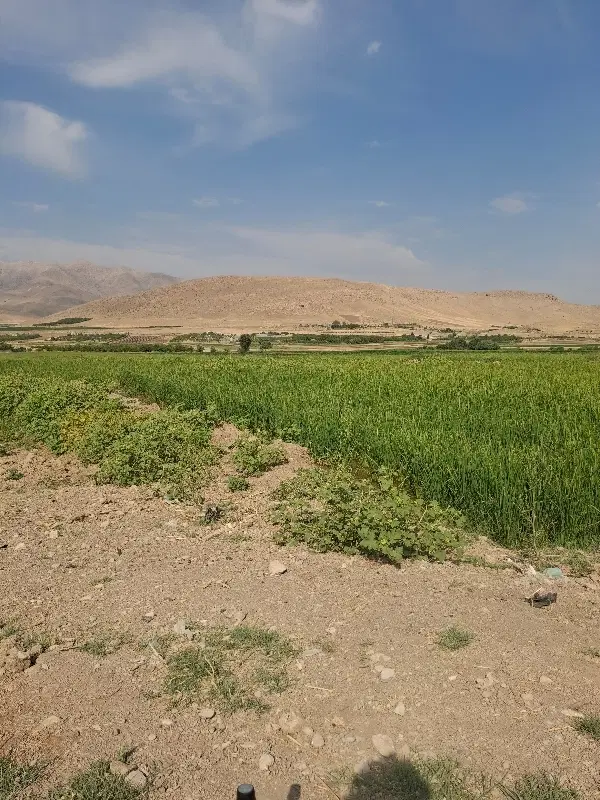 زمین کشاورزی خان اباد