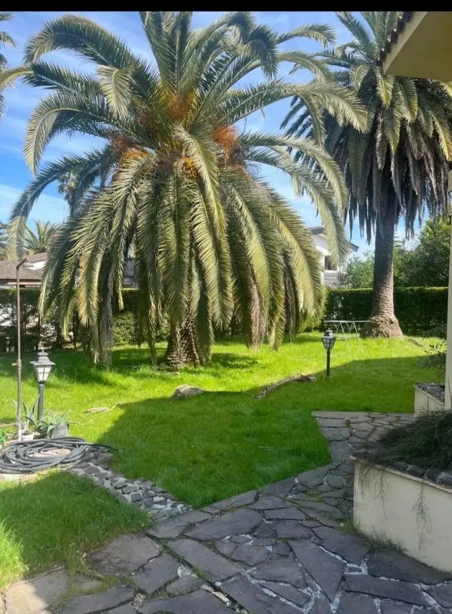 فروش زمین 240متری در محمودآباد