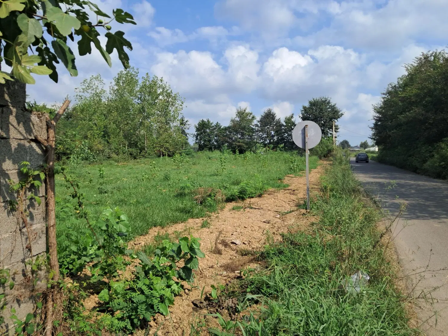 زمین باغی