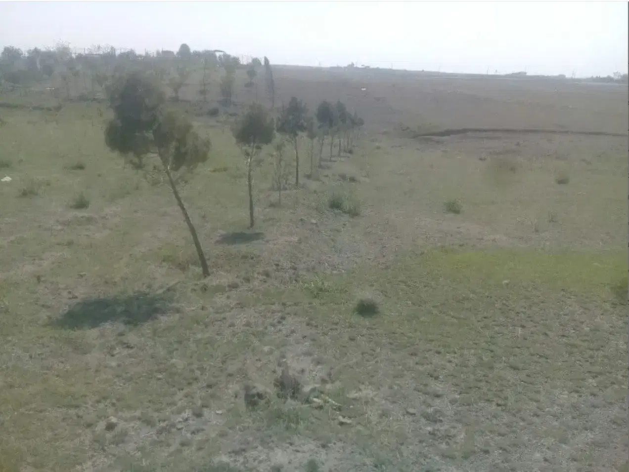 زمین فقط متری 1900