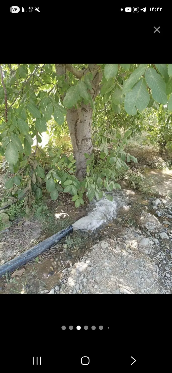 باغ الهیه جانبازان