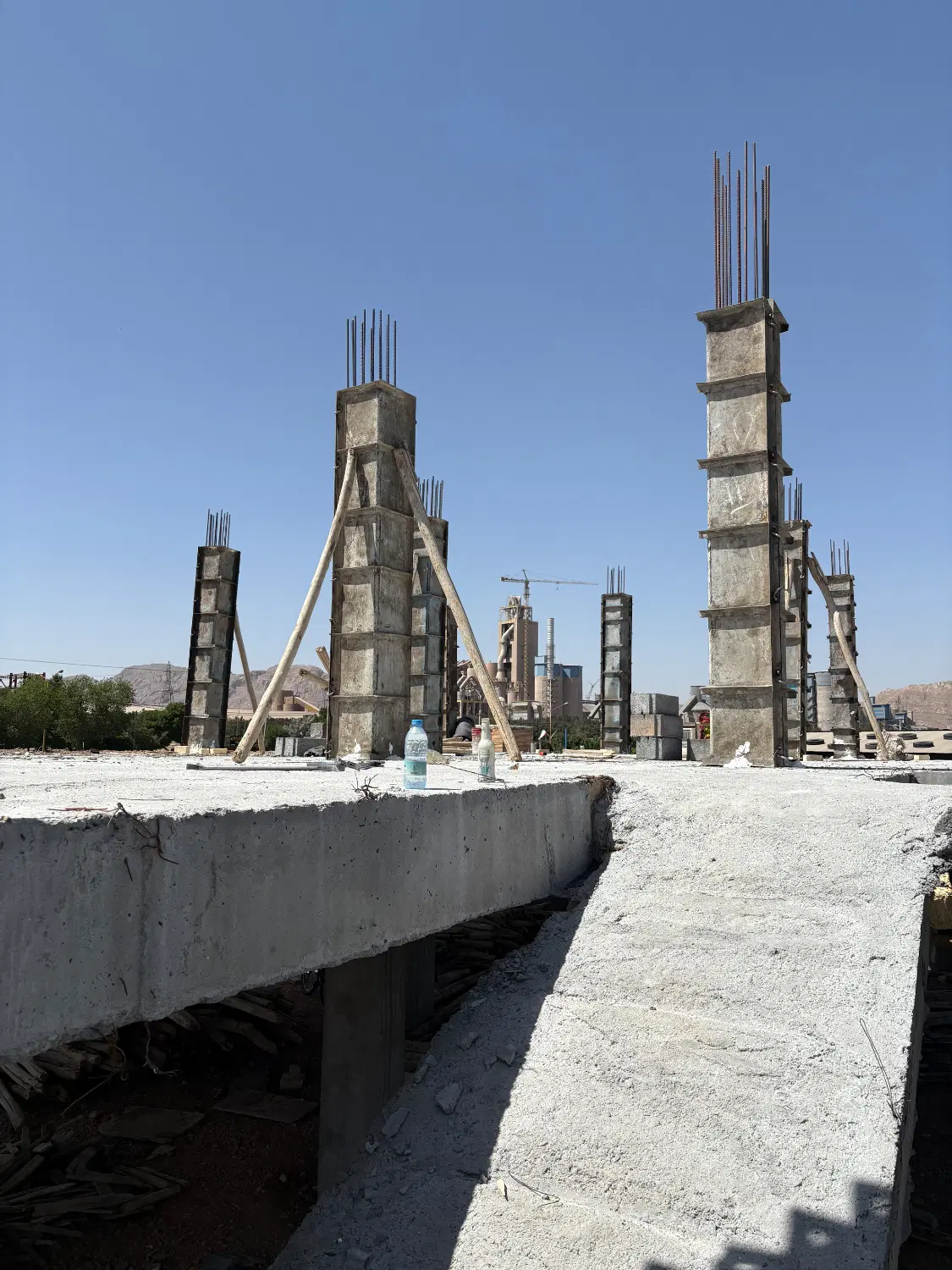 پیش فروش